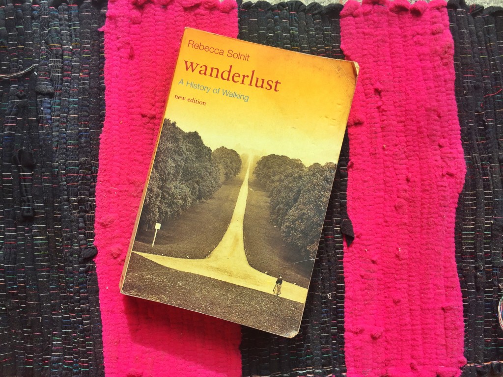 wanderlust a history of walking