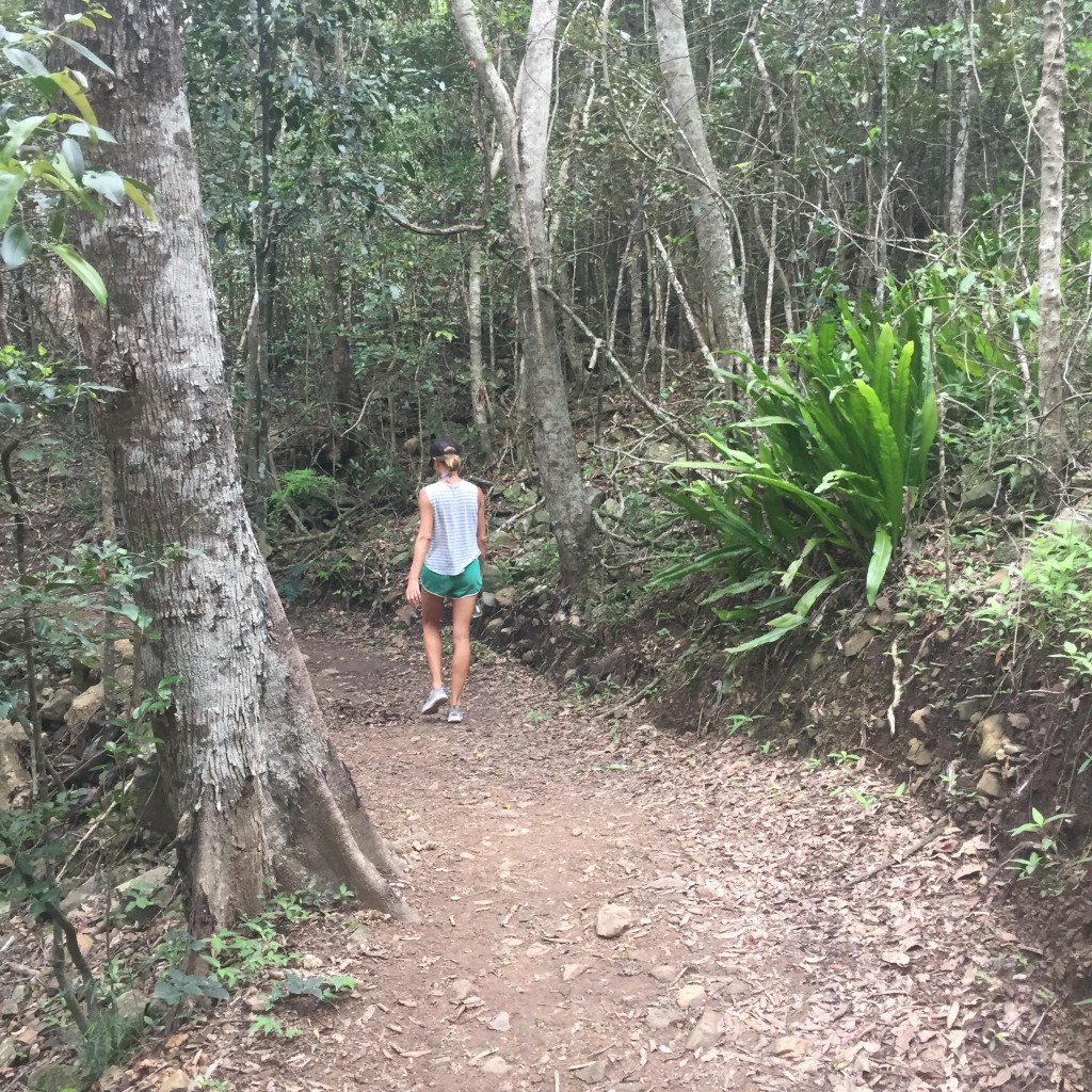 IMG 8152 e1459735876713 My bareboating (and hiking) guide to the Whitsundays