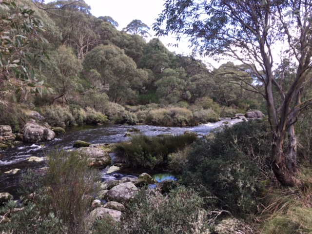 IMG 7374 A hiking guide (and road trip!) to Orange, Warrumbungles and Barrington Tops