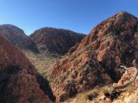 Sarah Wilson | The Larapinta Track Hiking Guide - Sarah Wilson