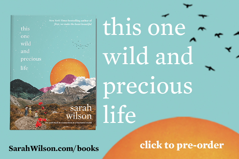 this wild and precious life sarah wilson